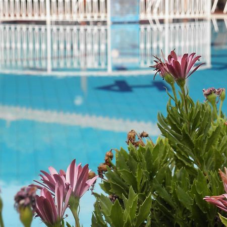 Hotel Petros Tsilivi  Extérieur photo