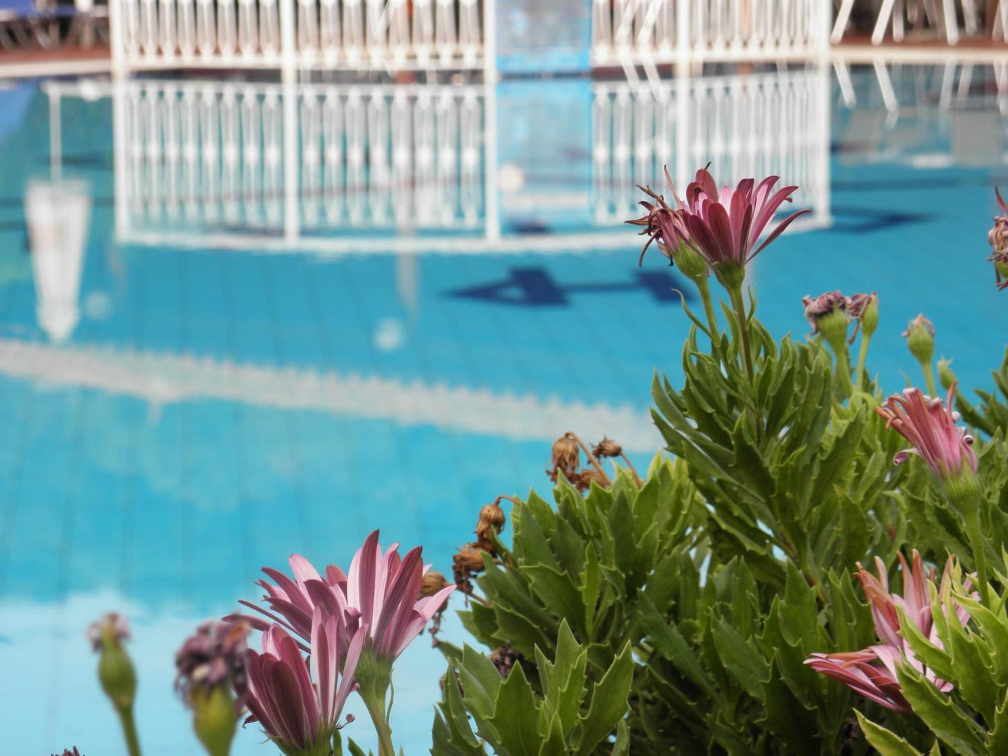 Hotel Petros Tsilivi  Extérieur photo